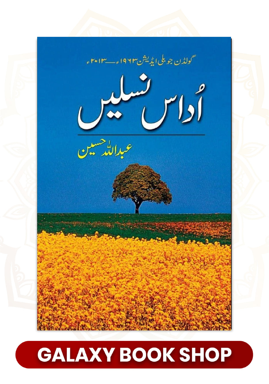 Udaas Naslain