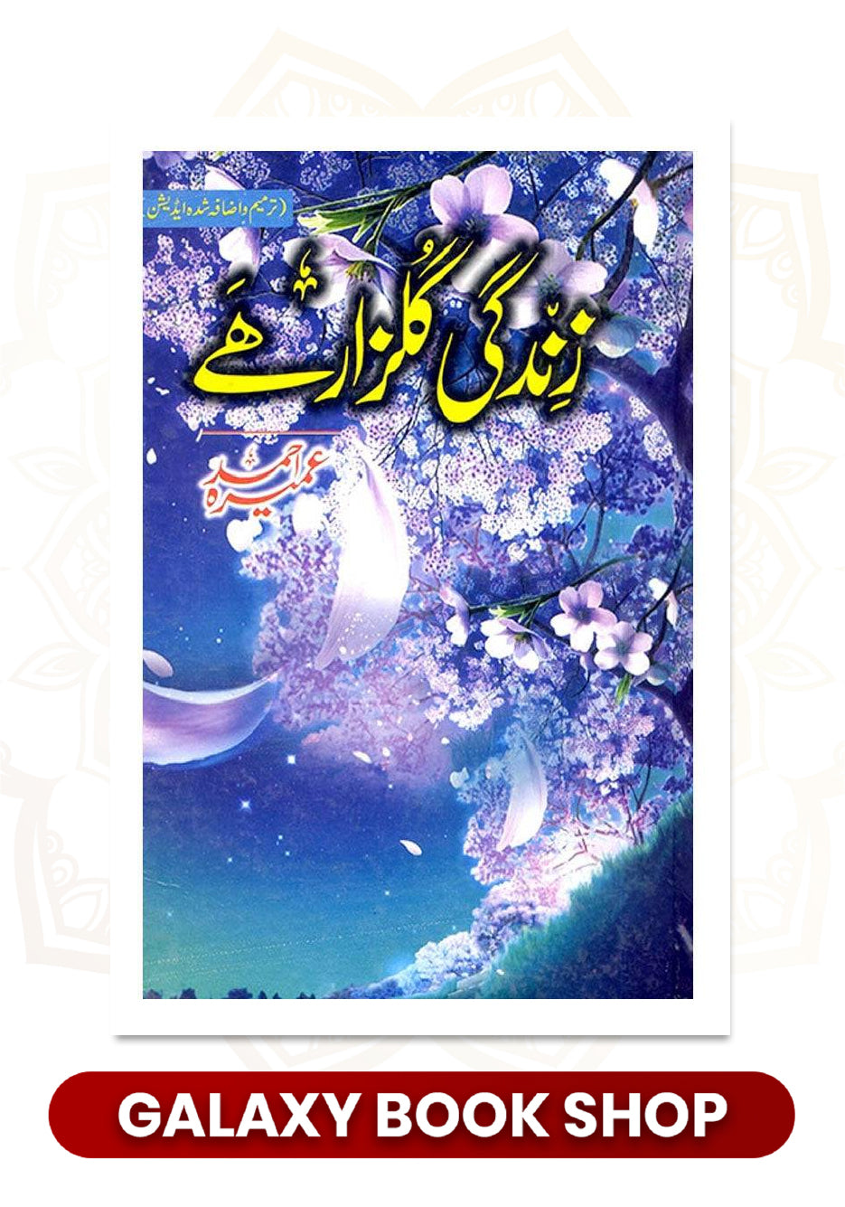 Zindagi Gulzar Hai